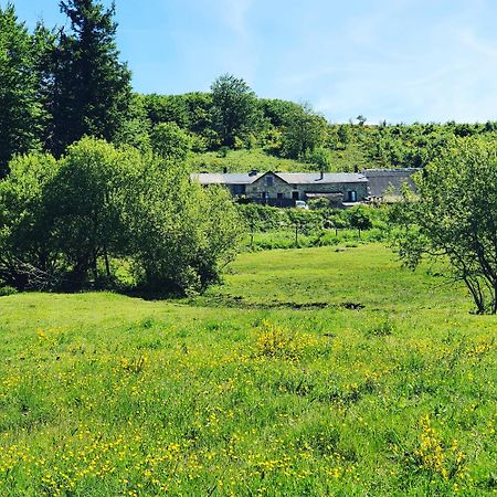 Ranch Du Haut-Languedoc La Salvetat-sur-Agout 外观 照片